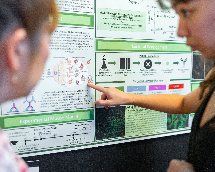 students examine a research poster