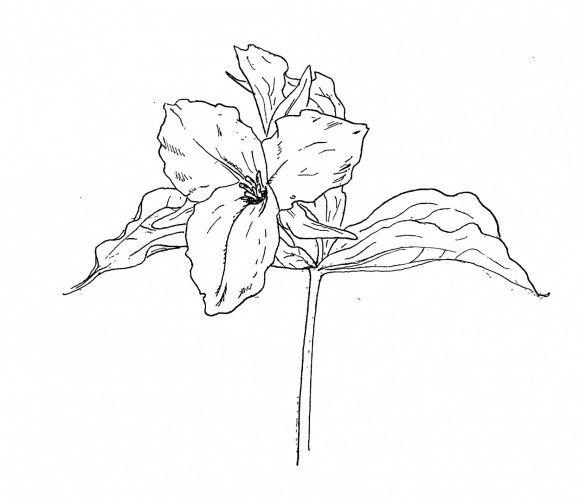 reference outline