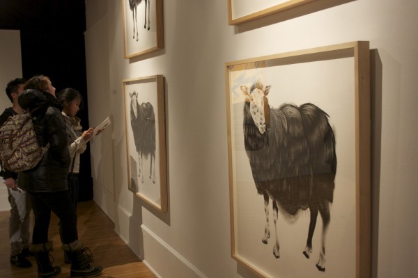 Gallery Photo