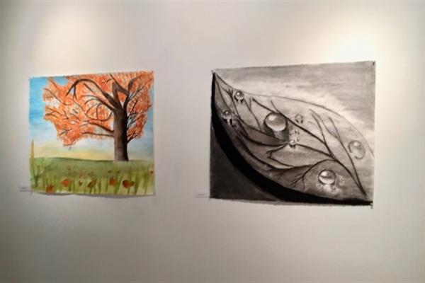 Gallery Photo