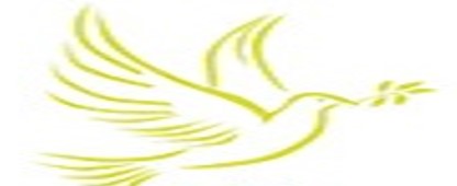 Davis Dove logo