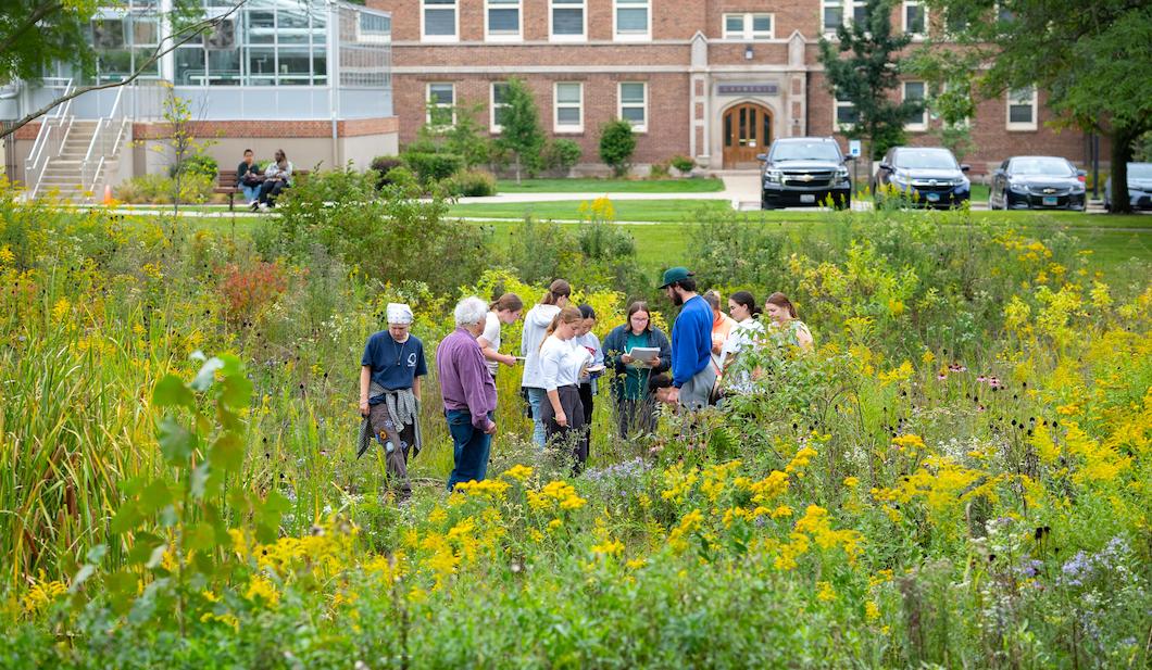 Picture of students in class standing in the rain garden