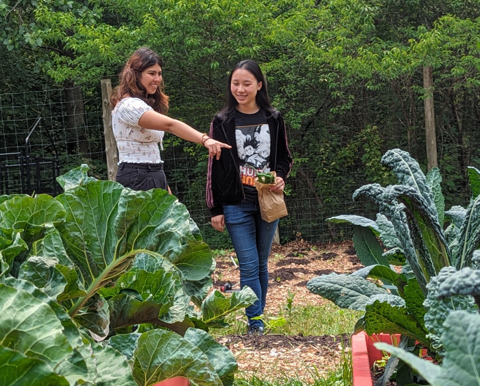 andrea showing a fellow student around the garden