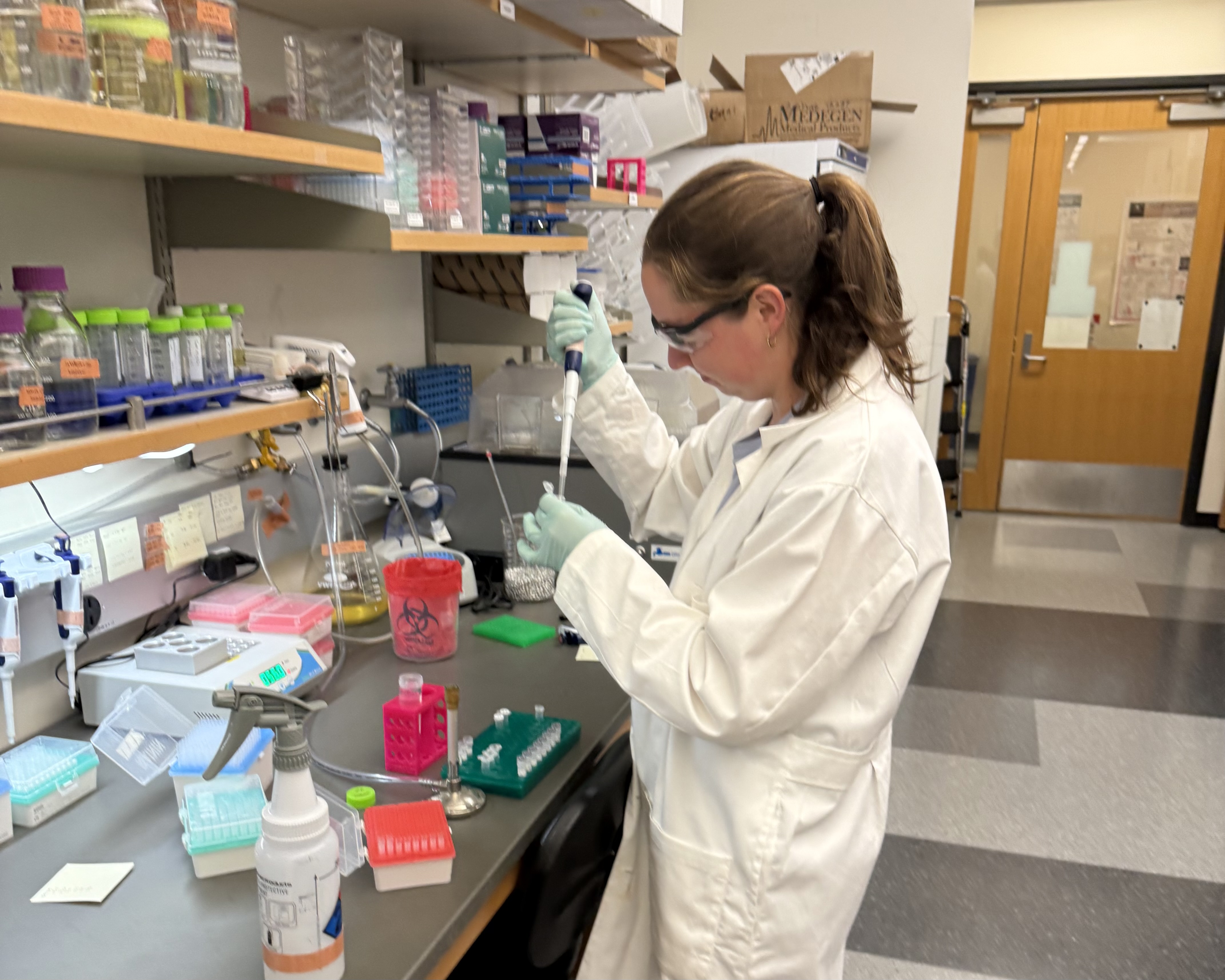 Laurel Robbins in the lab