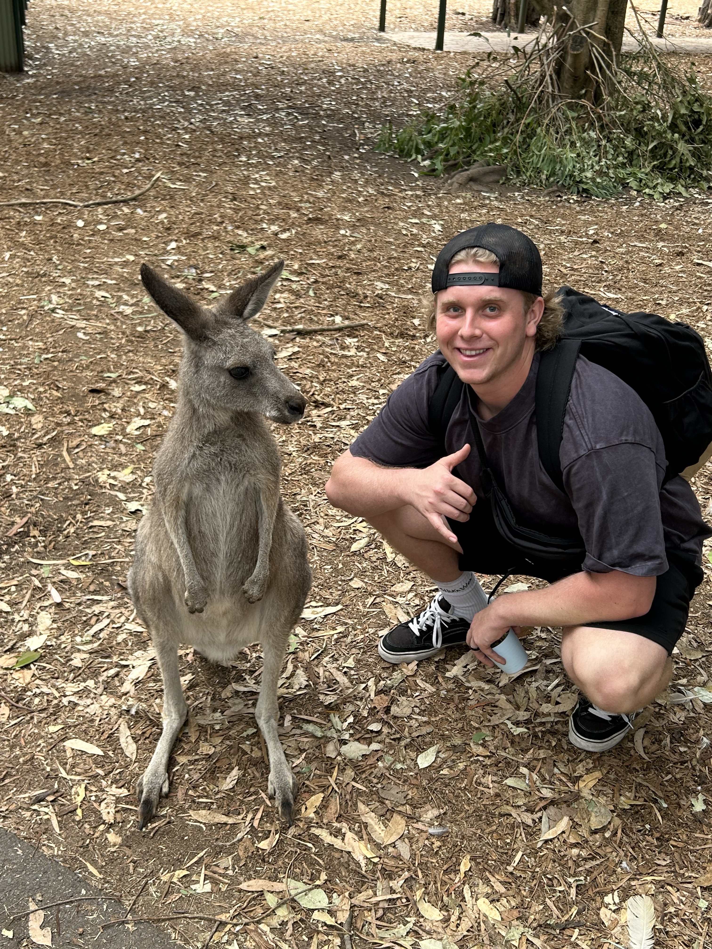 With kangaroo