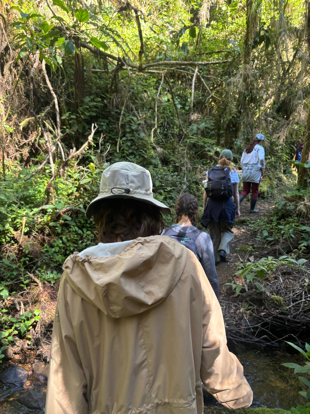 Hiking through Cartago Cloud Forest