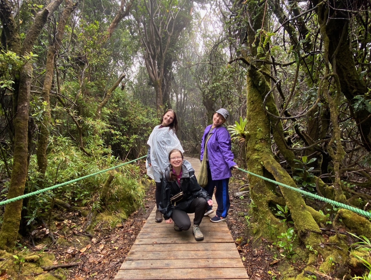 Poas Volcano National Park