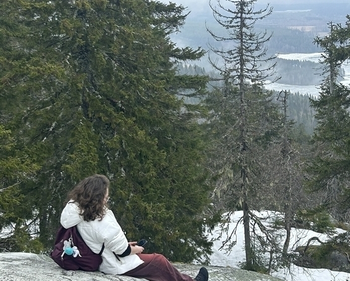 Koli National Park
