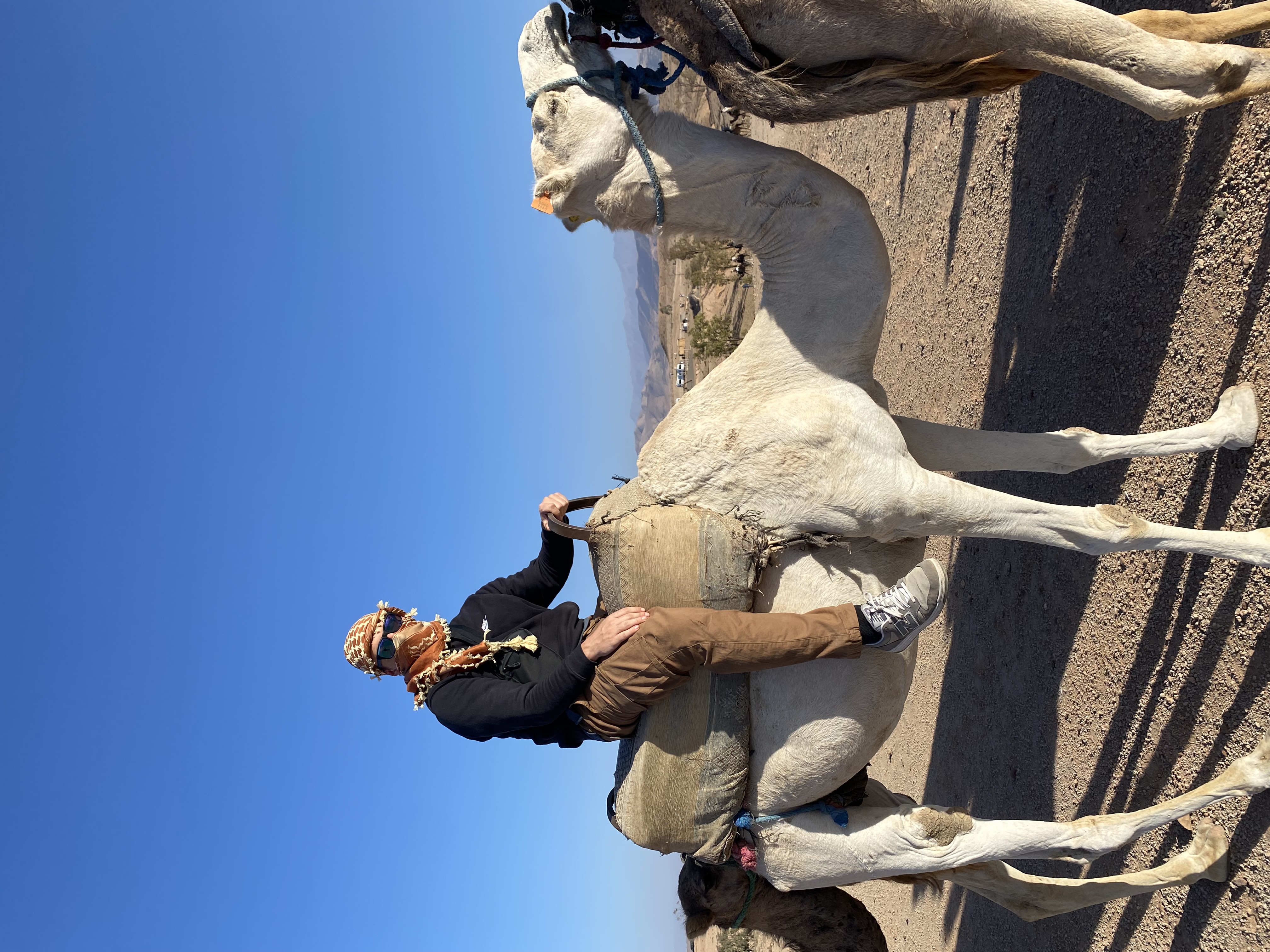 Kyle riding a camel in Morocco