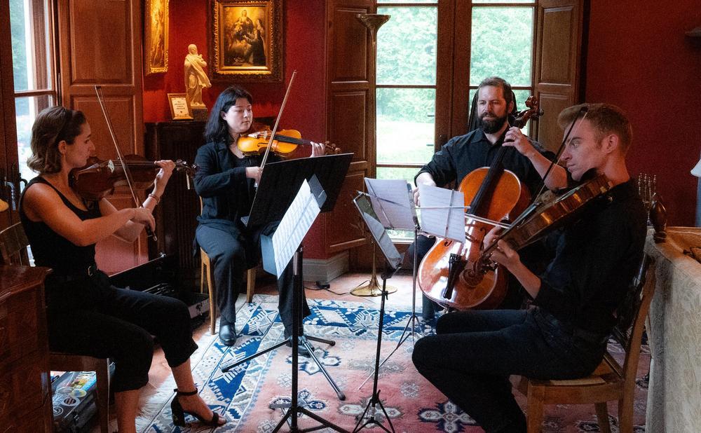 a quartet of string players