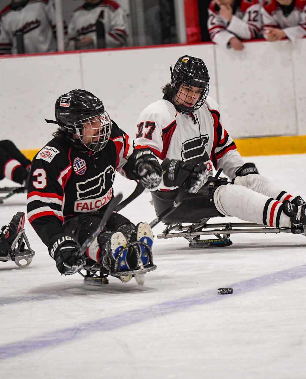 two people playing sled hockey