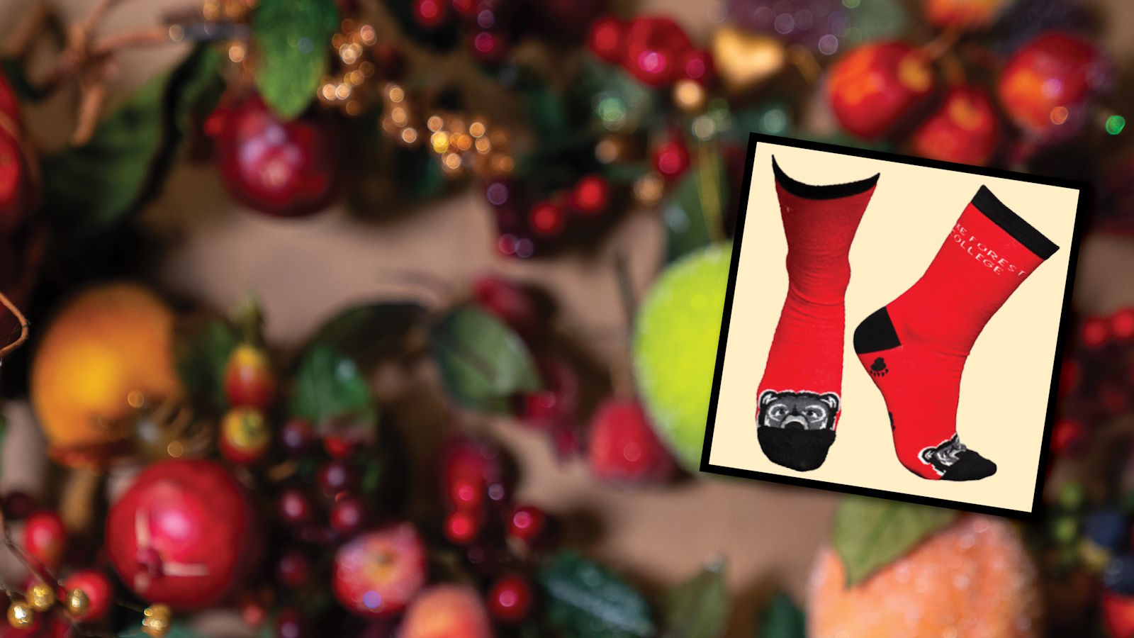 holiday-themed photo with socks