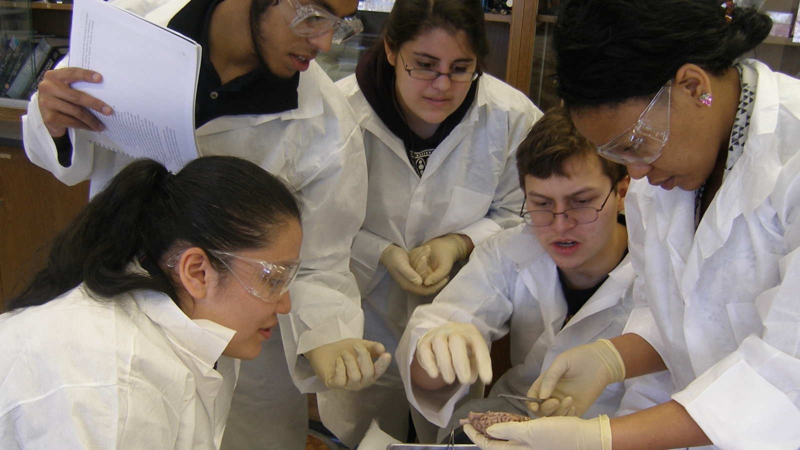 Neuroscience, research, students