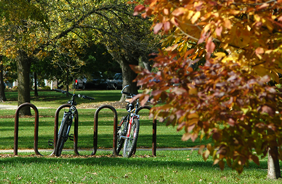 campus green
