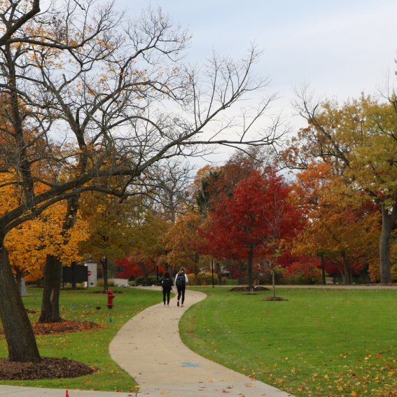 students walking down a path in the fall with colorful trees