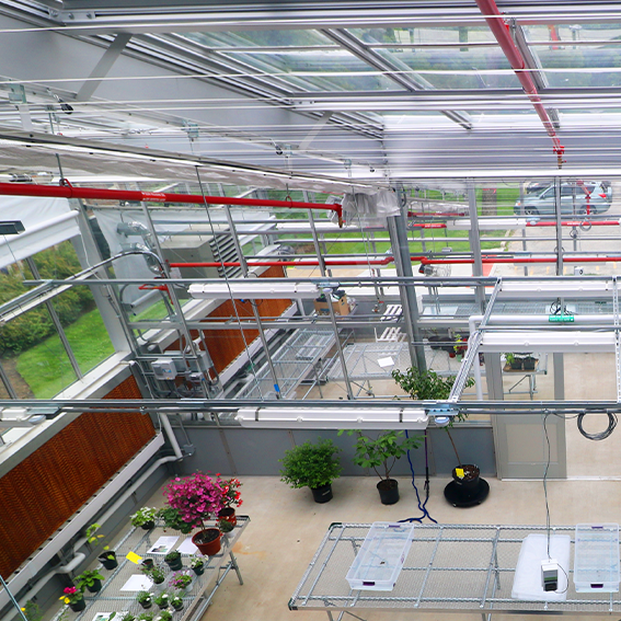 Greenhouse