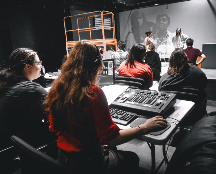 frog queen sound and lights