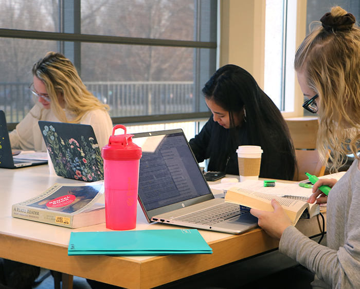 students study together in library