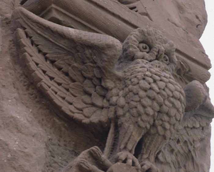 Owl architectural detail