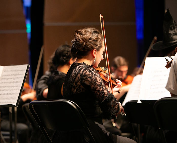 person playing violin