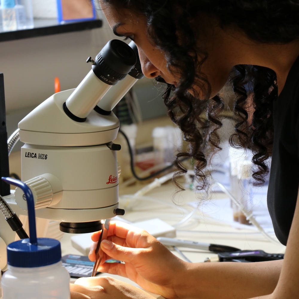 Student looking through a microscope