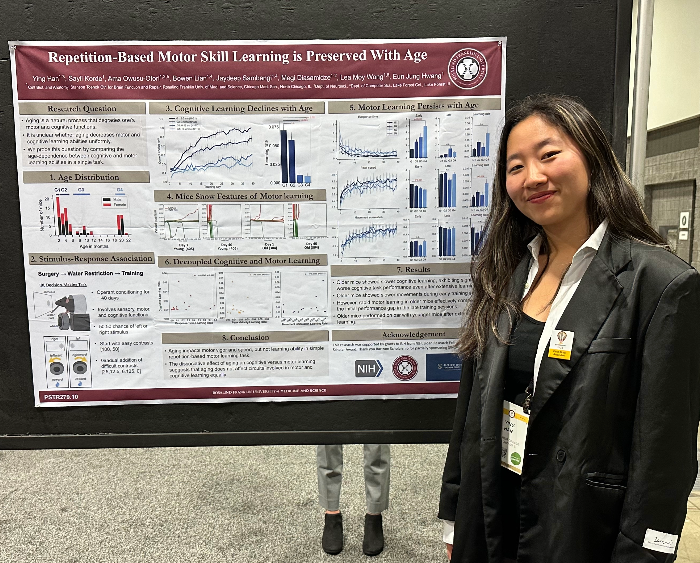 ying han at the sfn conference