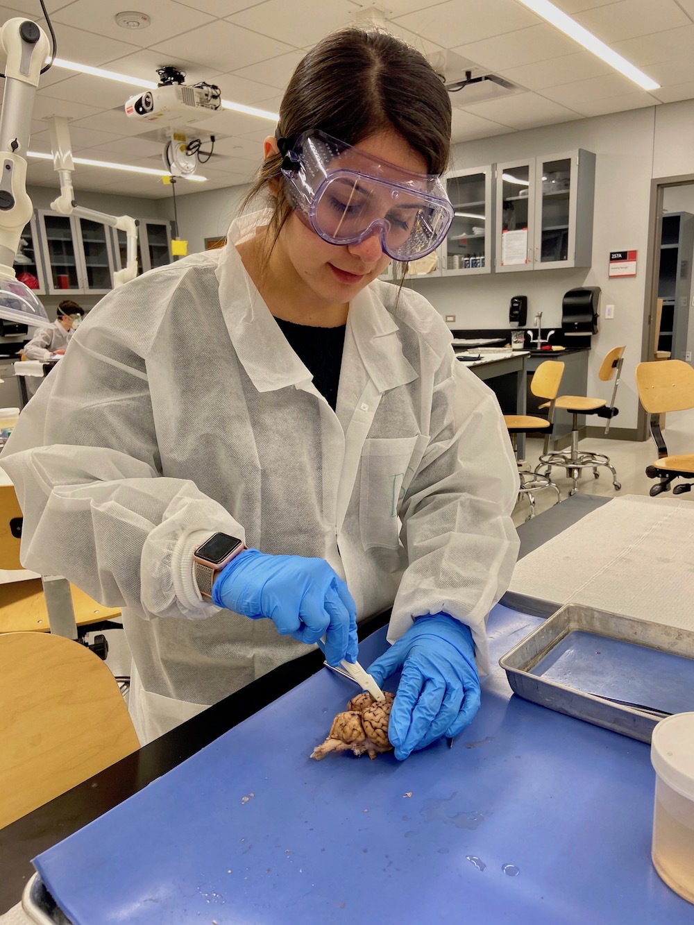 Daniela Sanchez in lab