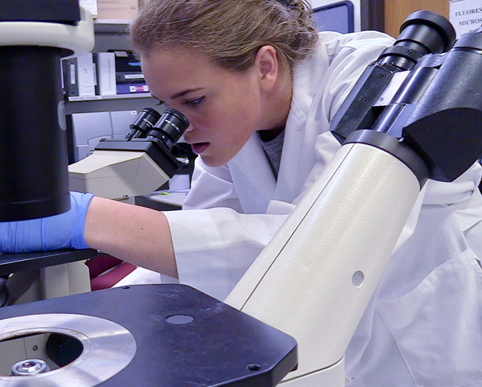 student in lab peering in microscope