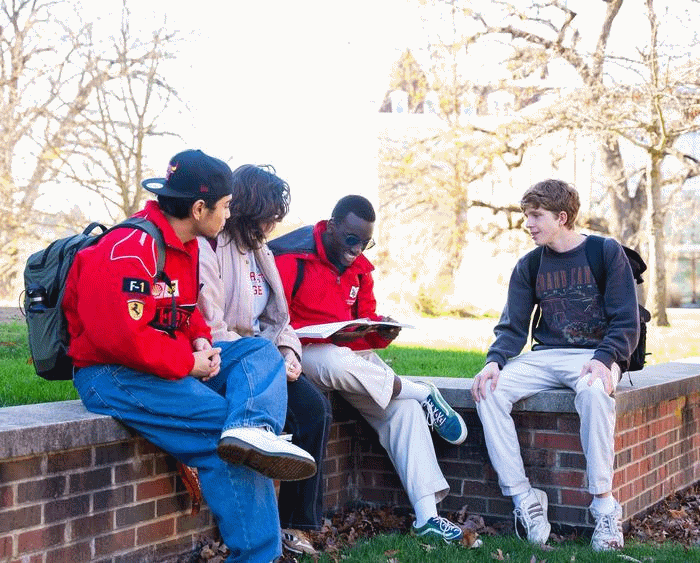 students sitting on the grass