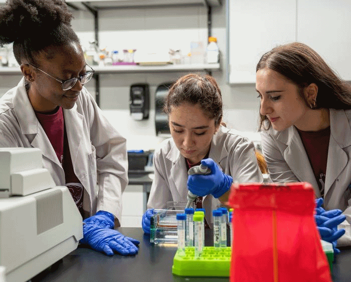 Students in a science lab