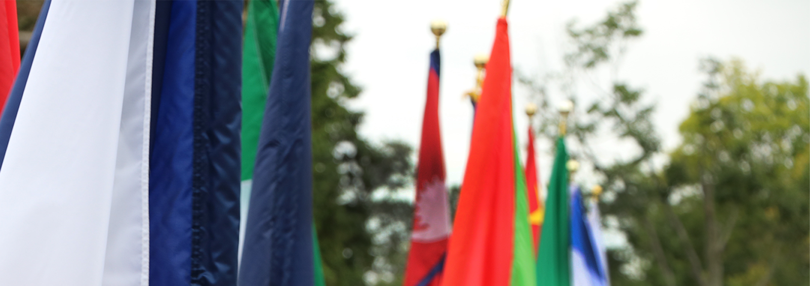 group of flags