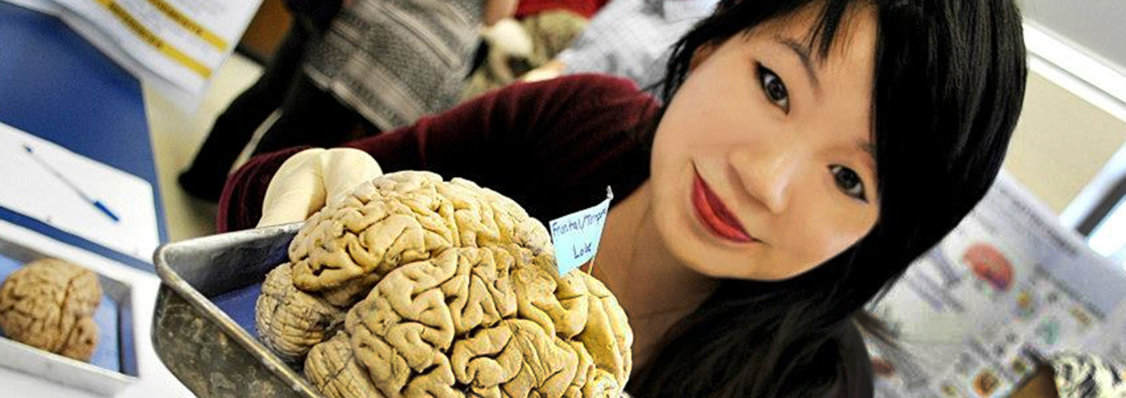 student holding a brain