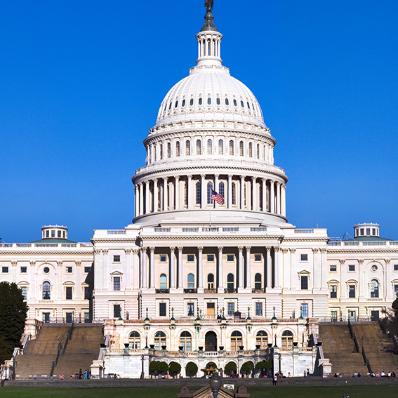 the US capitol building