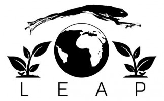 leap logo