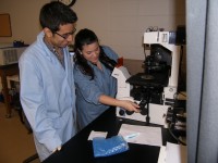 two students working in lab