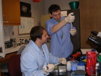 two students working in lab