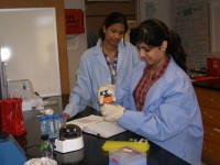 two students working in lab