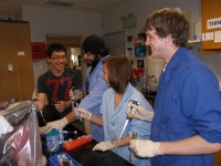 students working in lab