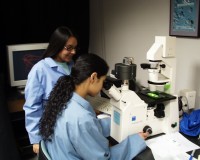 two students working in lab