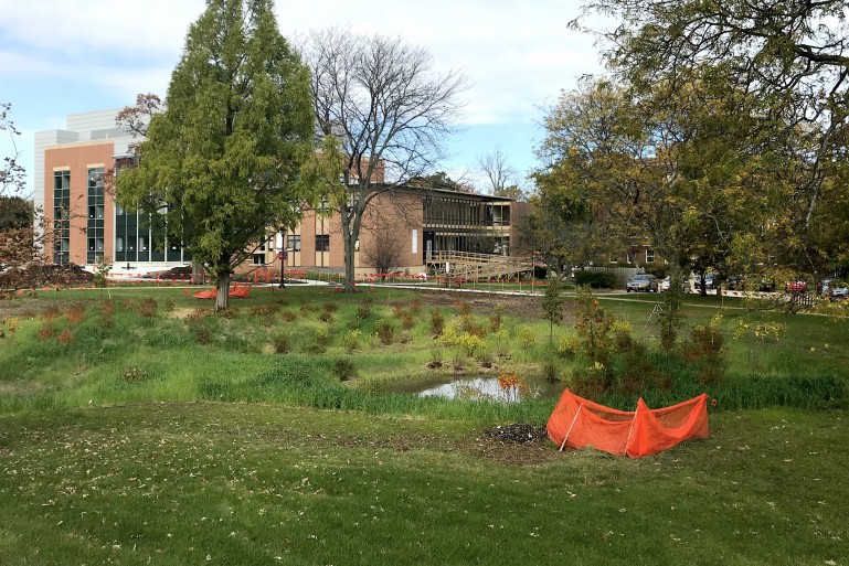 Wetland Learning Lab on Middle Campus