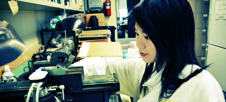 Chicago as an international hub for neuroscience-related professions in academia, corporate, non-profit, and heath service sectors provides exceptional internship opportunities for our majors