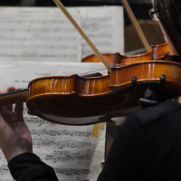 violin
