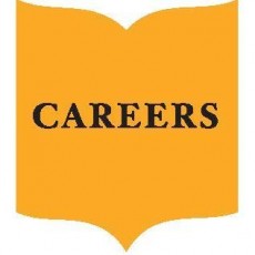 job shadowing programs